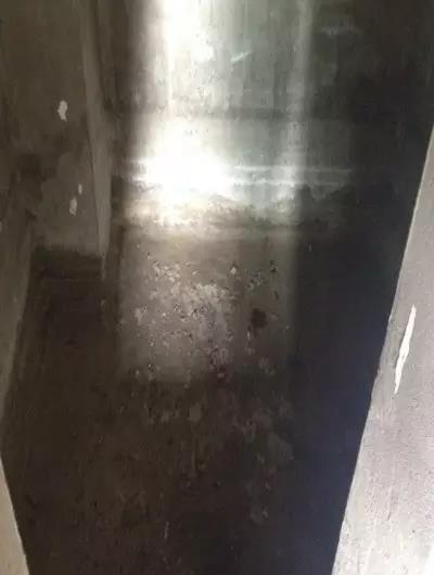 微信图片_20200501153133_看图王.jpg